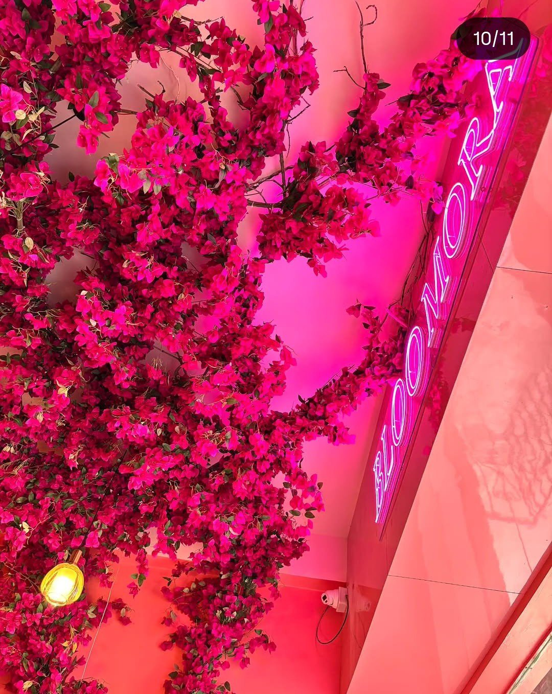 Neon Bloomora sign under cascading blossoms